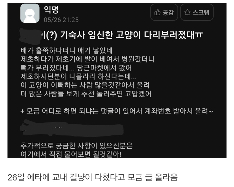 제초기에 다친 길고양이 모금하는 대학