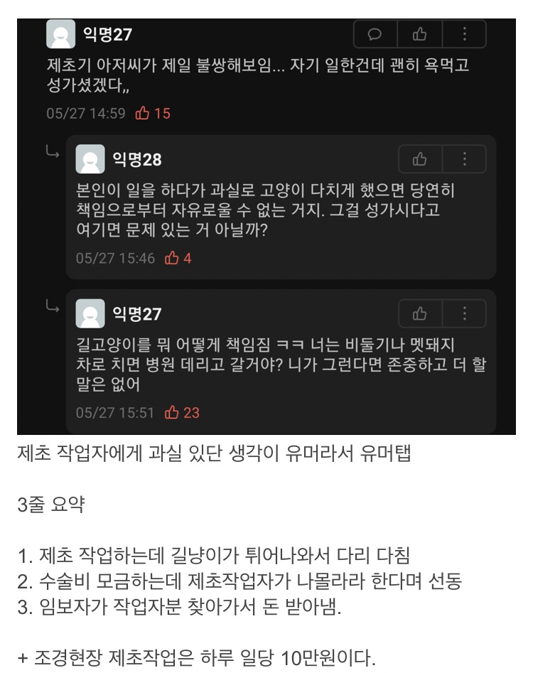 제초기에 다친 길고양이 모금하는 대학