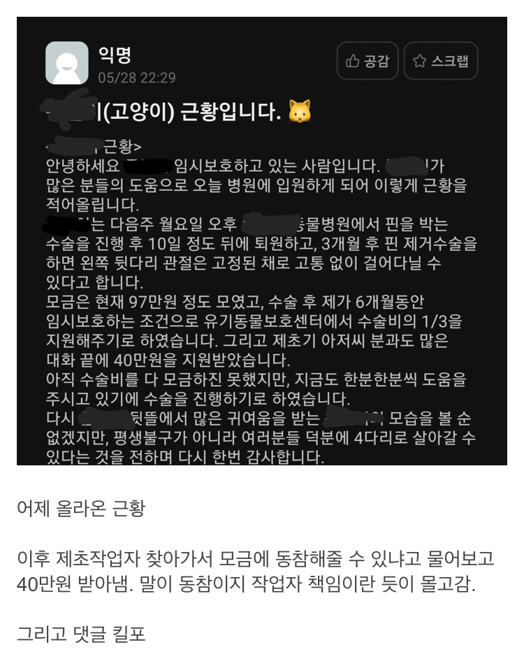 제초기에 다친 길고양이 모금하는 대학