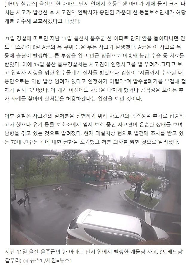 8살 아이 목 물어뜯던 개인데..