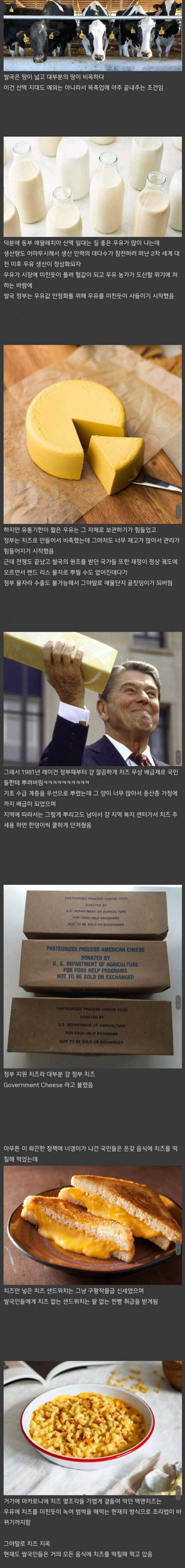 미국의 구황 식품