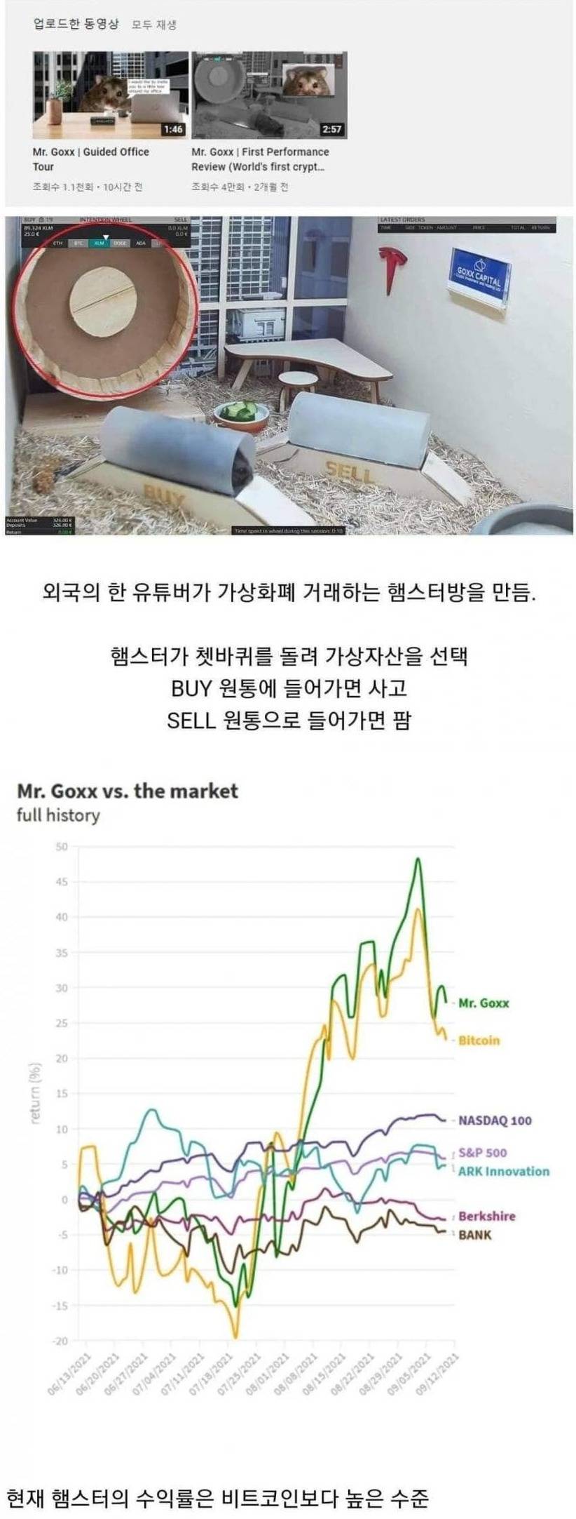 햄스터가 굴리는 가상화폐