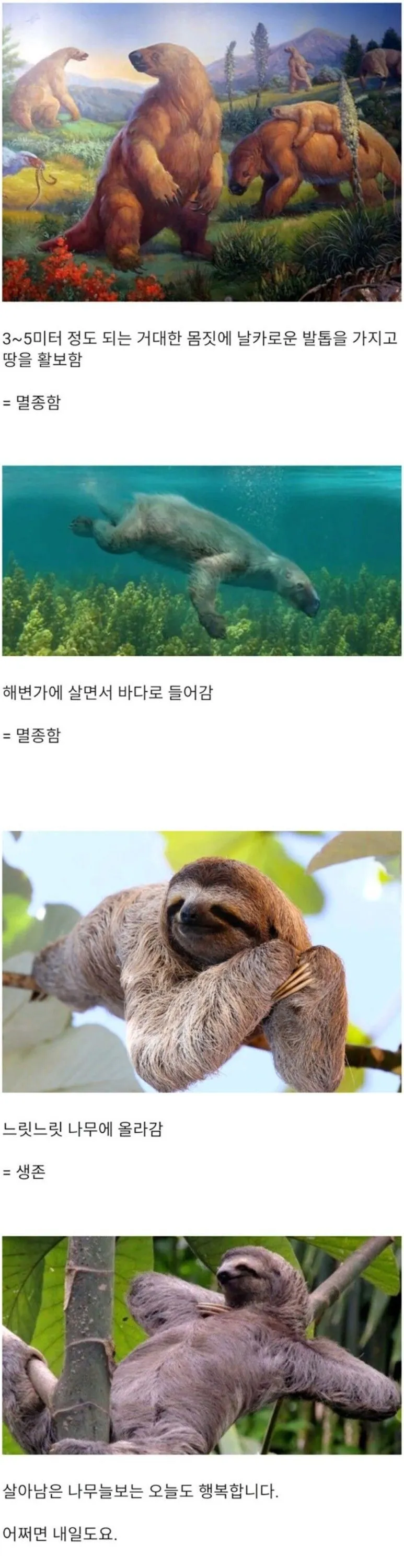 나무늘보는 어떻게 살아남았을까?.