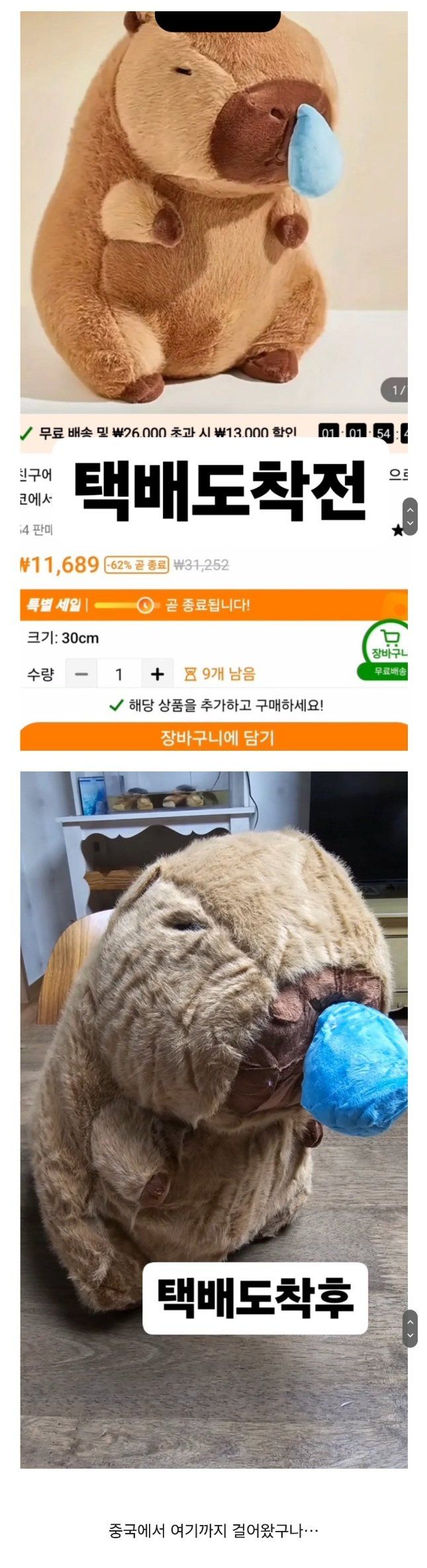 테무에서 산 인형 후기