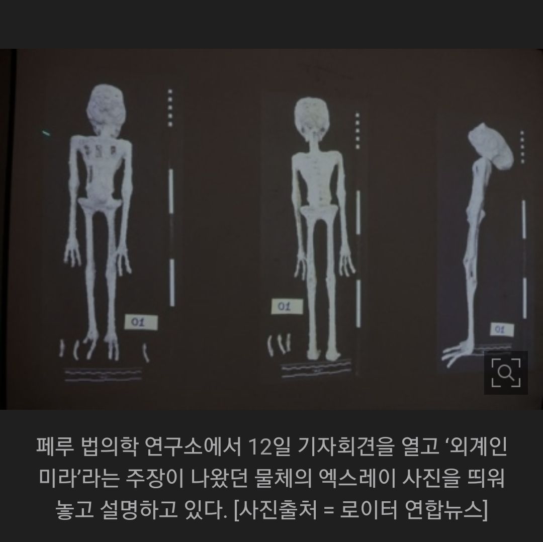 페루 외계인미리 충격적 진실