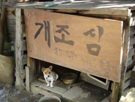 보기만해도 아찔한 개조심 구역