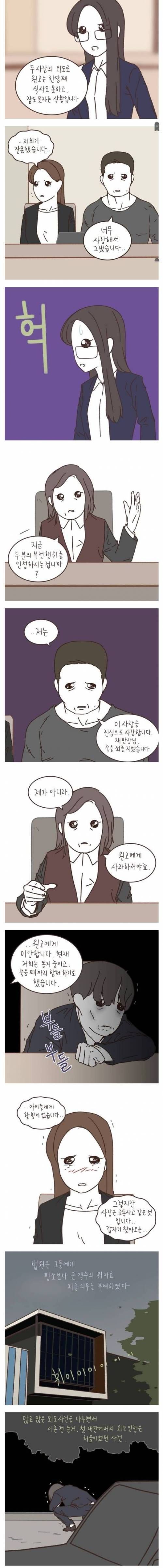 이혼 전문 변호사도 처음 겪은 외도사건