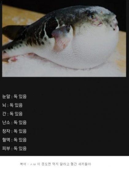 (펌)이 정도면 먹지 말아야 할 생물