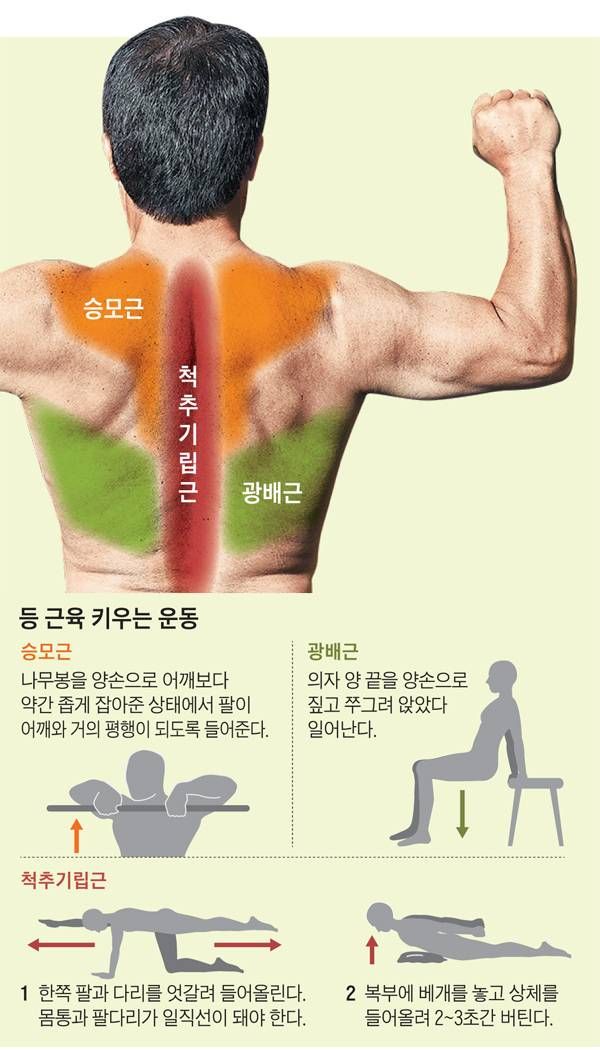 거북목·라운드숄더 이 근육 약해져 생긴다