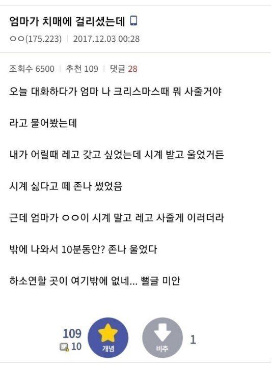 디씨인의 어머니 이야기