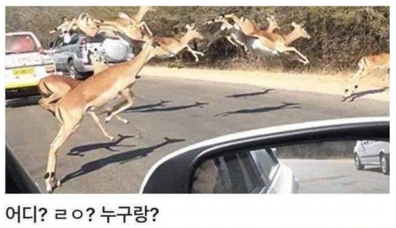 학교에서 누군가 싸울 때.