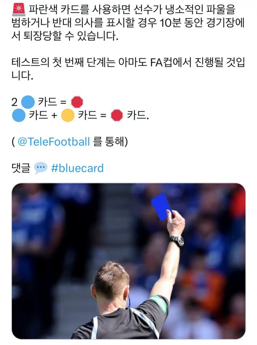 축구 블루카드 도입