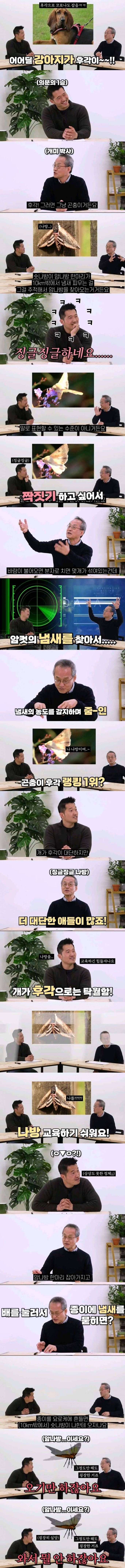 개는 상대도 안되는 엄청난 후각을 가진 생명체.