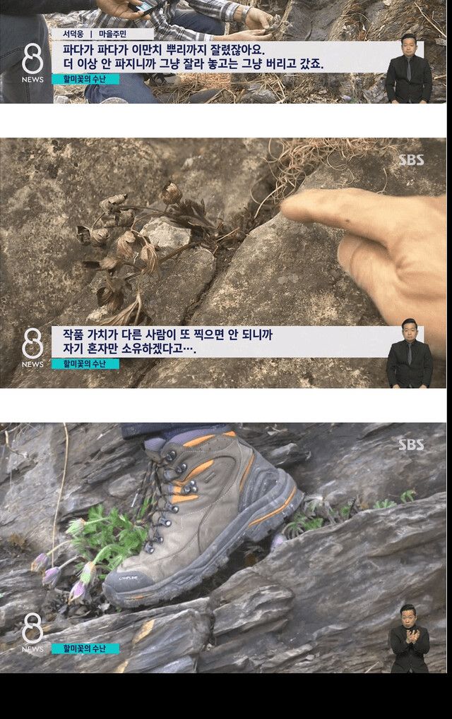 사진작가들이 자연을 훼손하는 이유