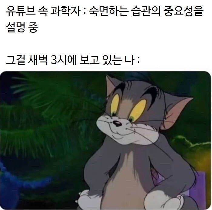 숙면의 중요성