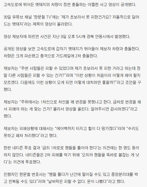 초보라서 못 피했다는 사고