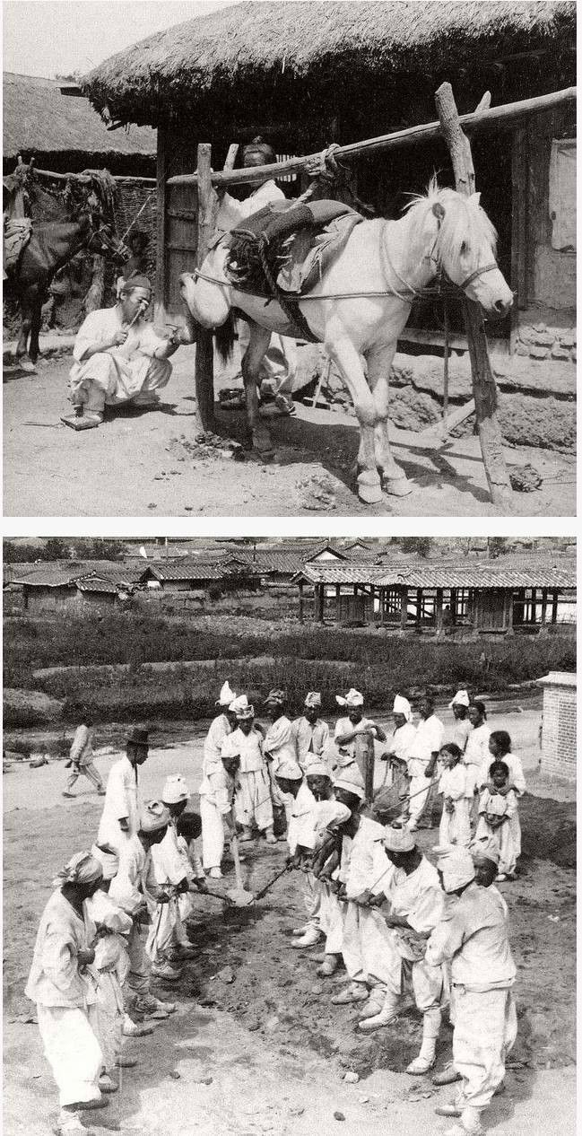 스압) 조선시대 사진