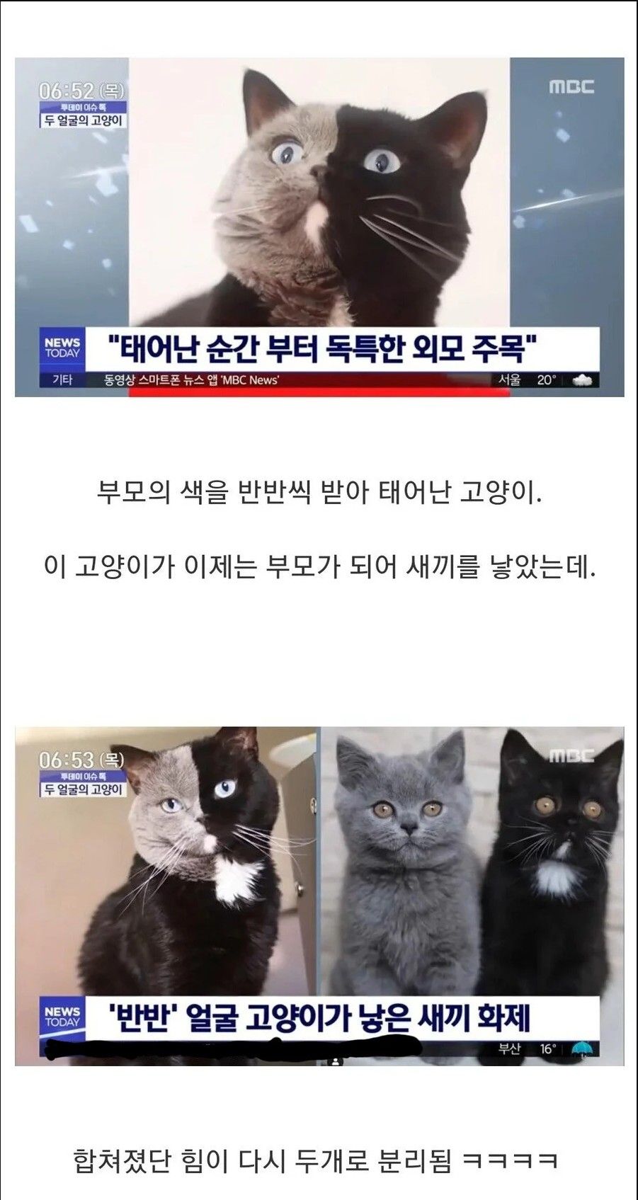 5 :5로 나눌까?