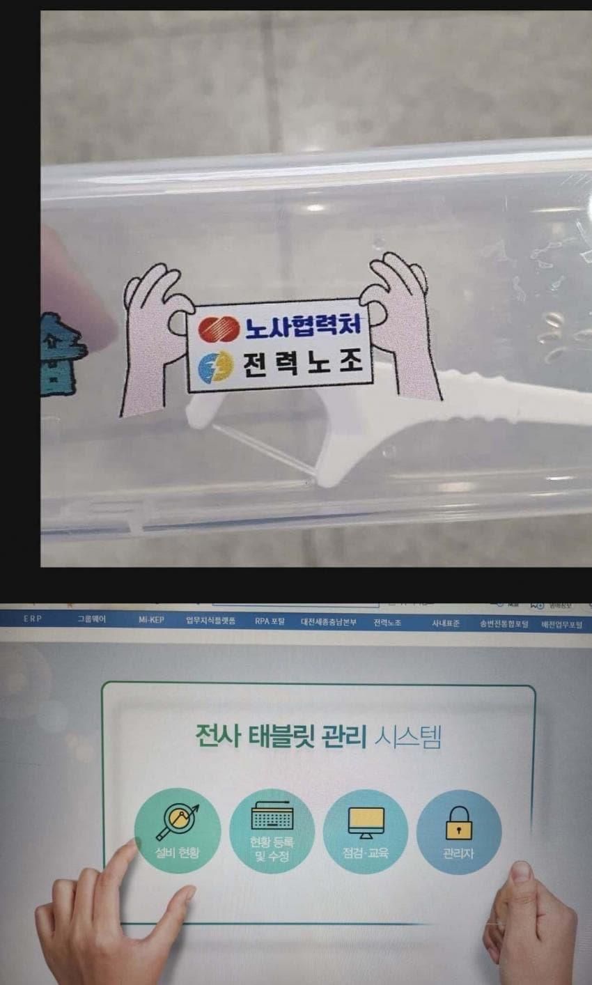 (보)르노 사태이후 시작된 그녀들