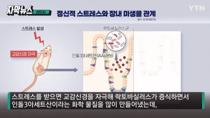 흔한데 원인조차 밝혀지지 않았던 과민성 대장증후군 근황