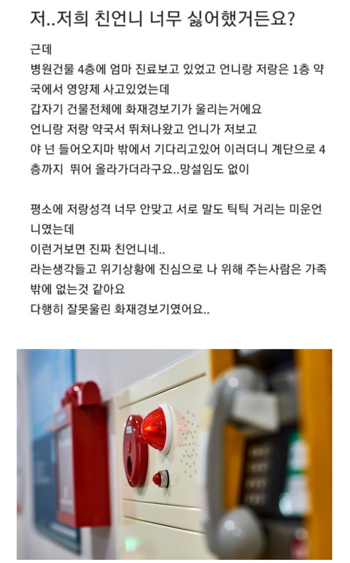 친언니를 너무 싫어했던 동생.