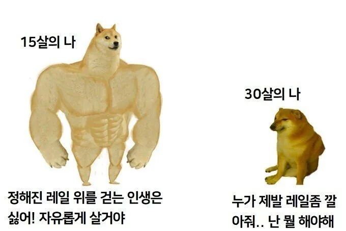 누가 제발 레일좀 깔아주라