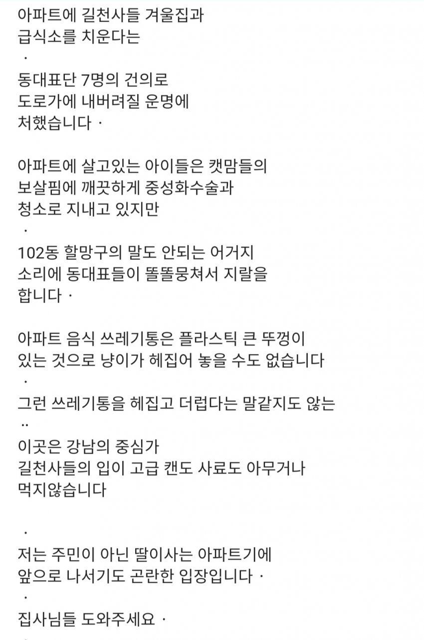 겁 없는 캣맘