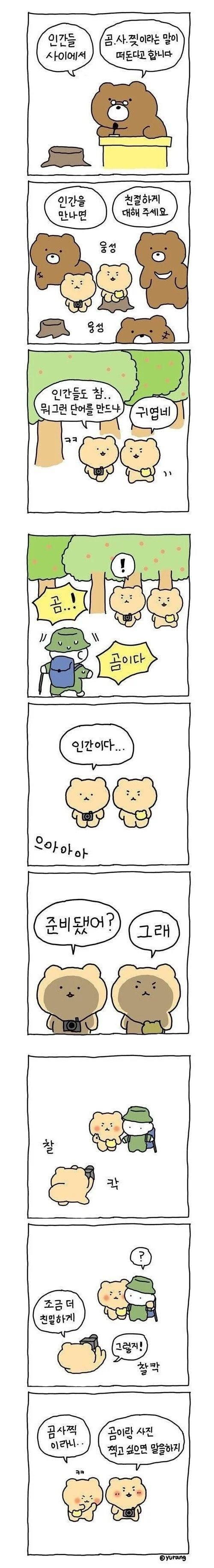 인간들 사이에서 곰.사.찢 이라는 말이 떠돈다고 합니다.