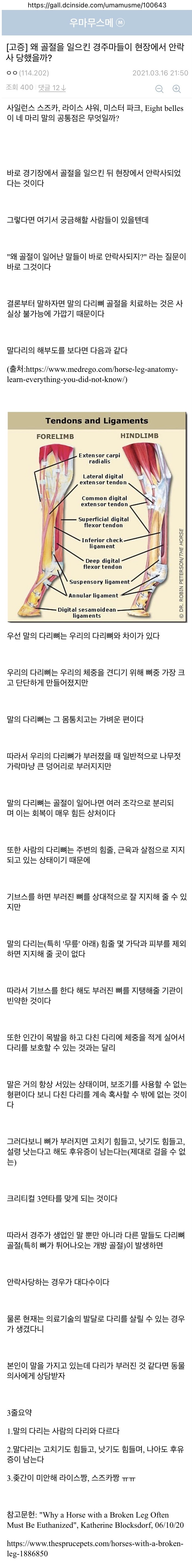 말들이 골절상을 당하면 바로 안락사 하는 이유