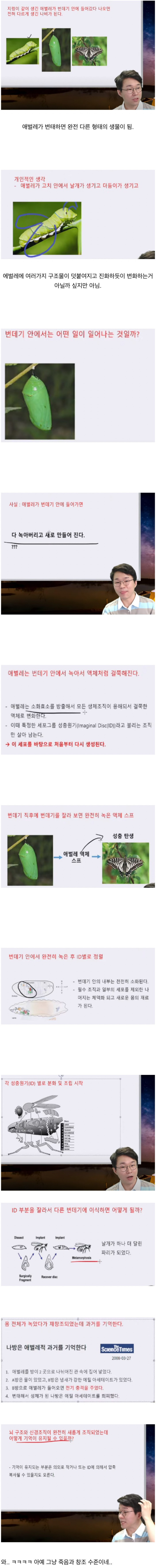 충격적인 애벌래 변태 과정