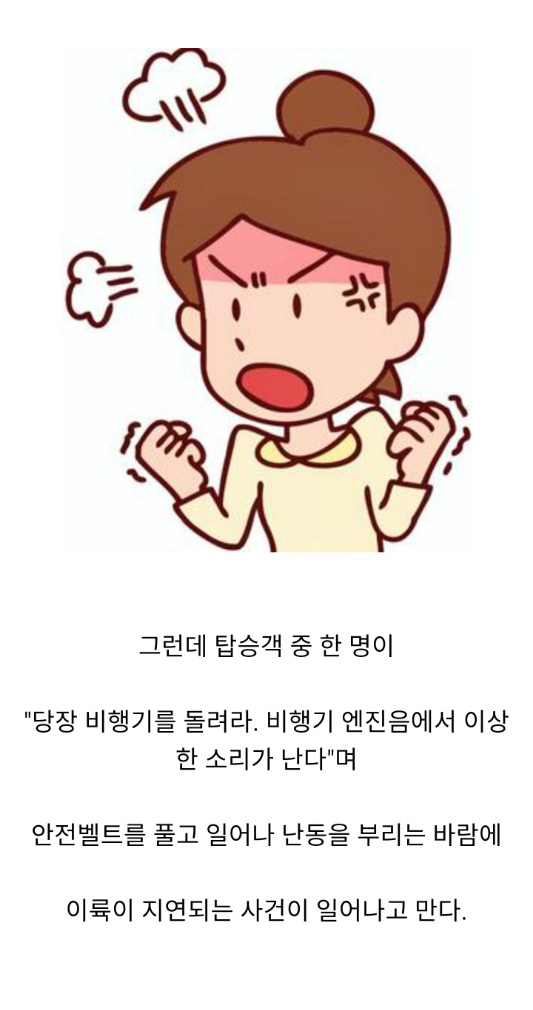 진상 손님 때문에 비행기 회항한 썰