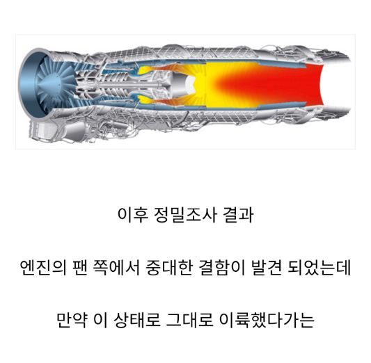 진상 손님 때문에 비행기 회항한 썰