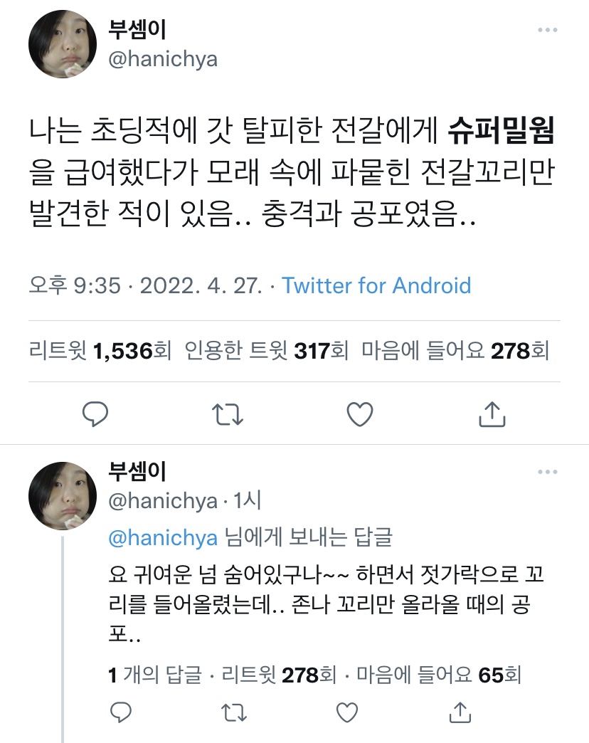 전갈, 슈퍼밀웜, 개미의 굴레.