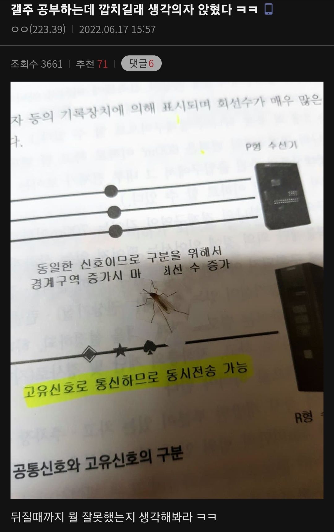 약혐) 슬슬 시동 거는 그 갤러리