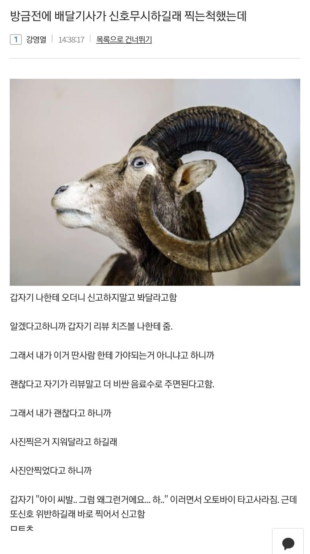 방금전에 배당기사가 신호무시하길래 찍는척했는데