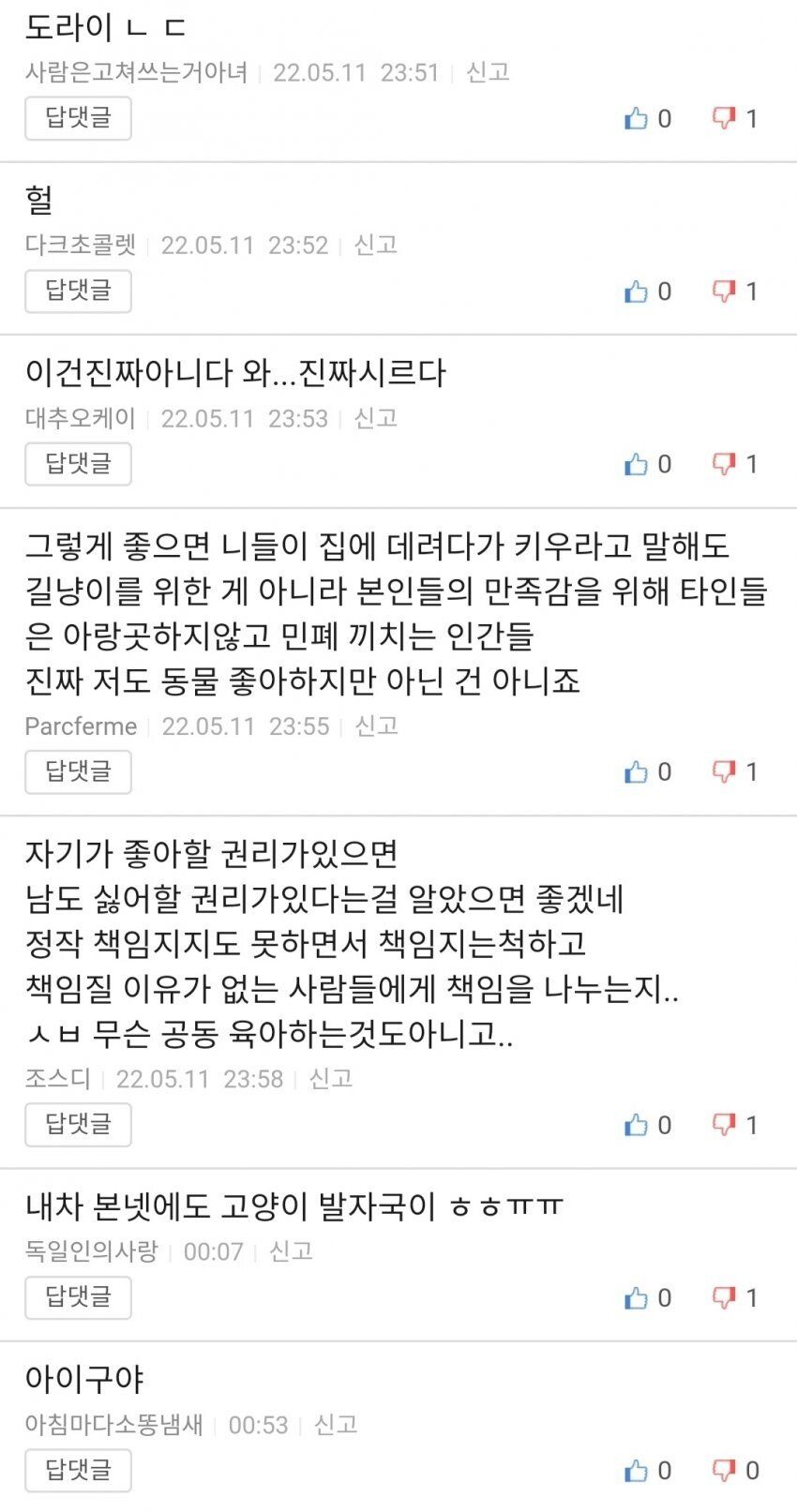 고양이를 늘리는 마법사