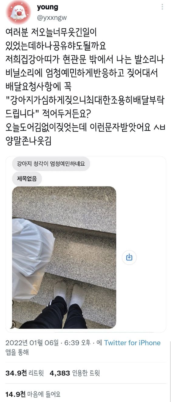 예민한 강아지 키우는집에 배달간 배달원