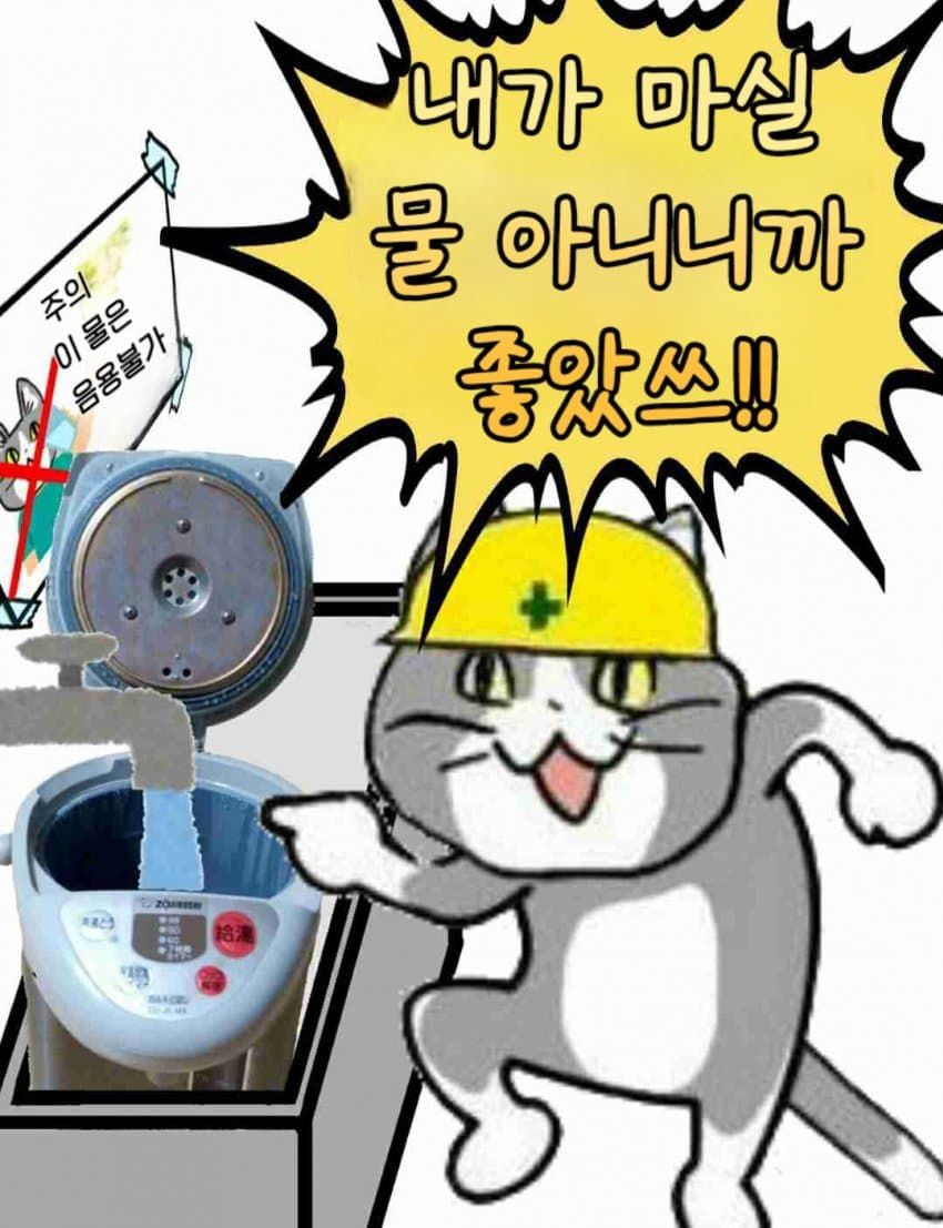 일본 ㅈ소고양이 최신 모음