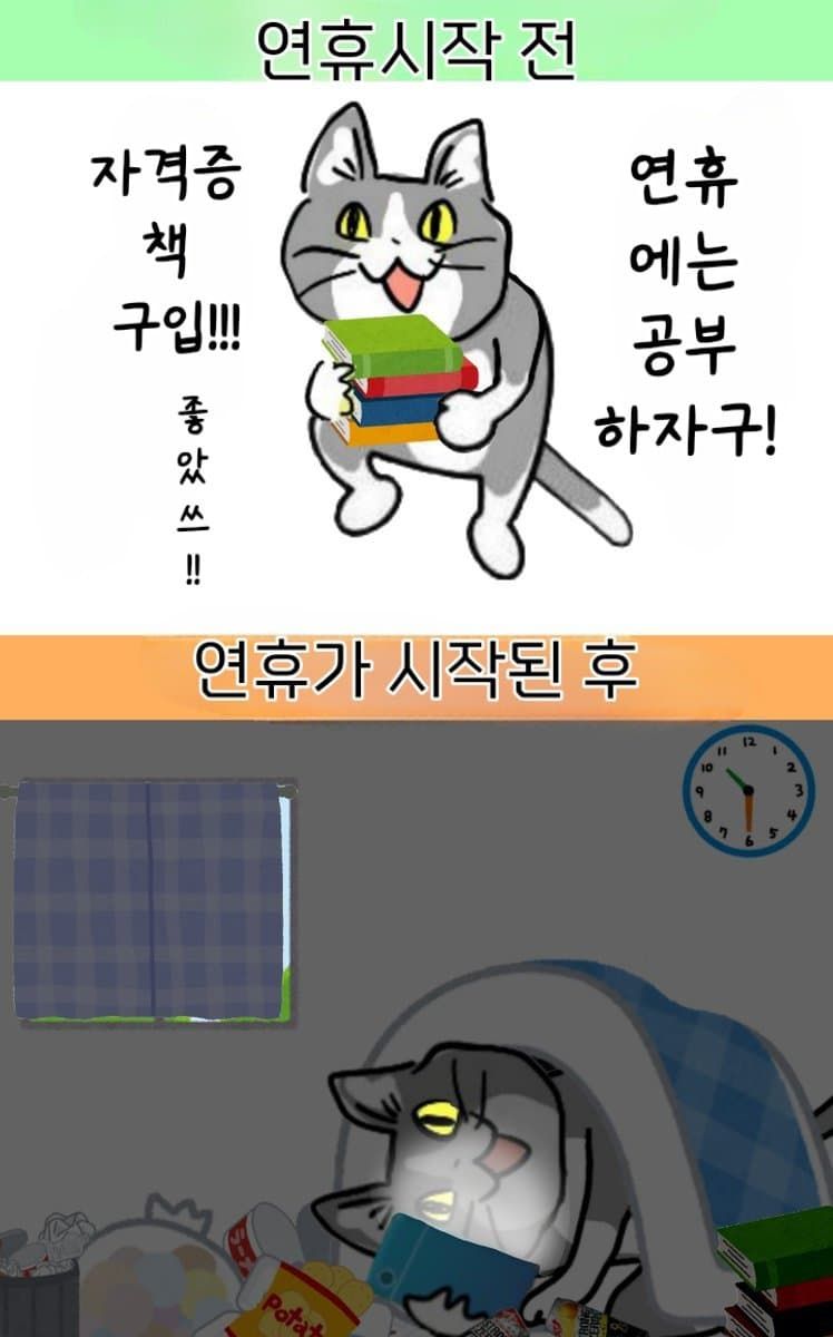 일본 ㅈ소고양이 최신 모음