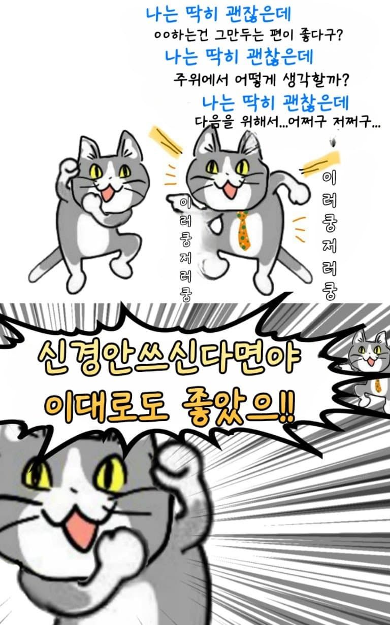 일본 ㅈ소고양이 최신 모음