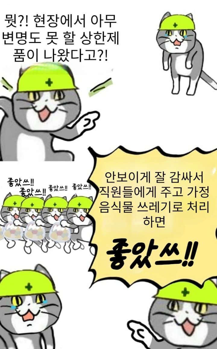 일본 ㅈ소고양이 최신 모음