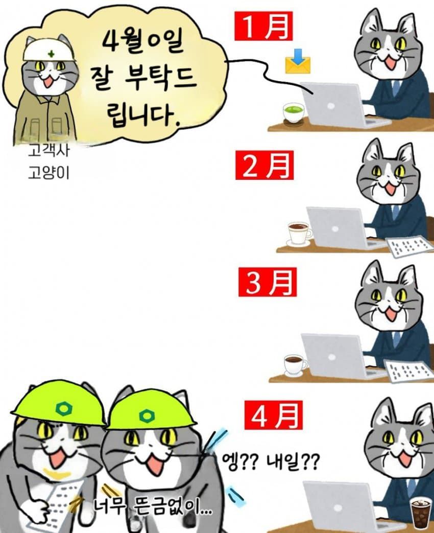 일본 ㅈ소고양이 최신 모음