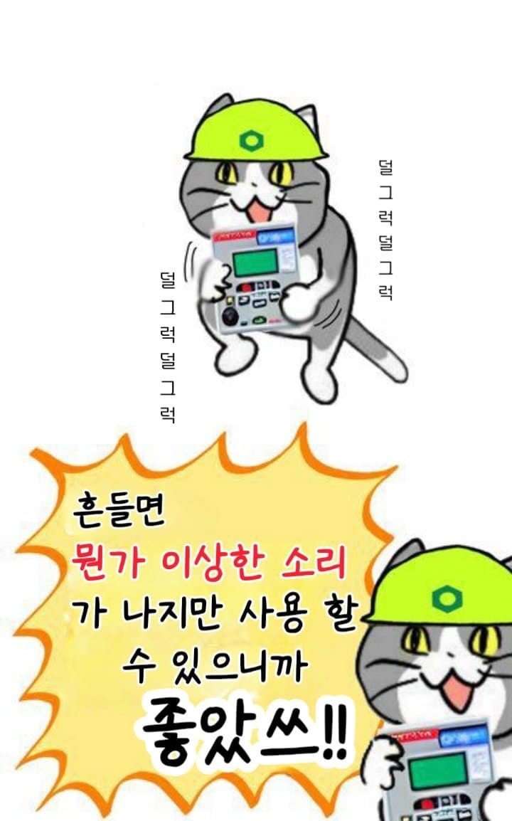 일본 ㅈ소고양이 최신 모음