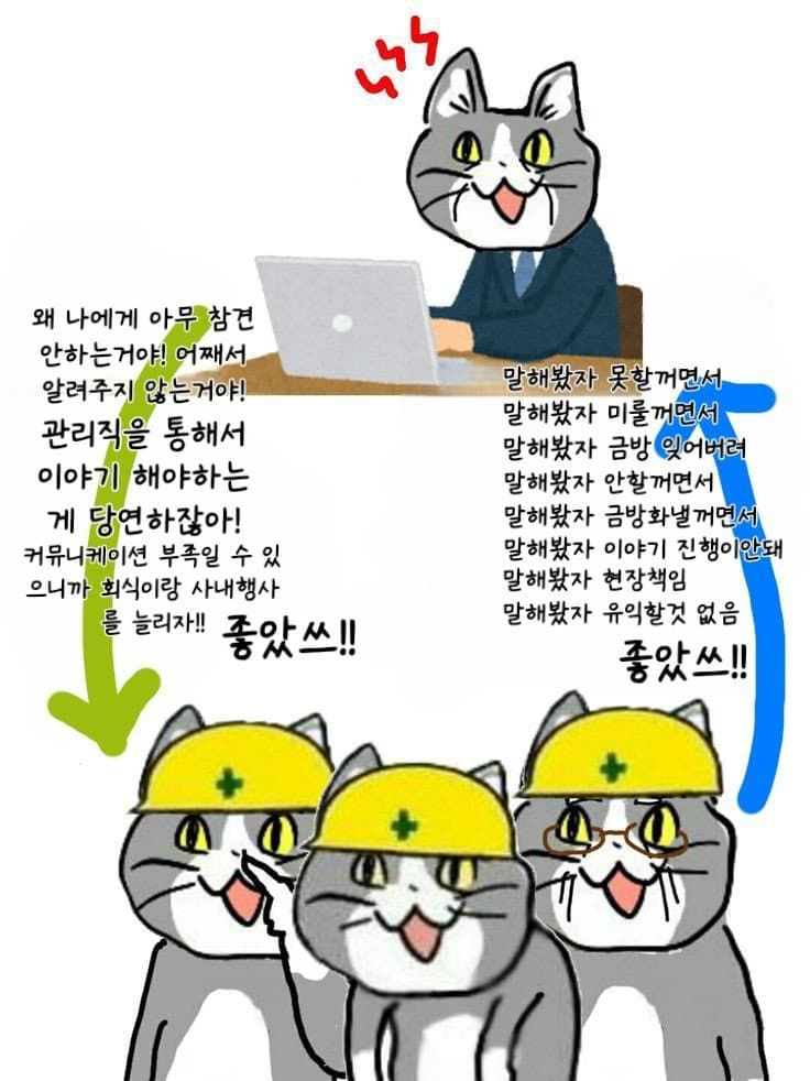 일본 ㅈ소고양이 최신 모음