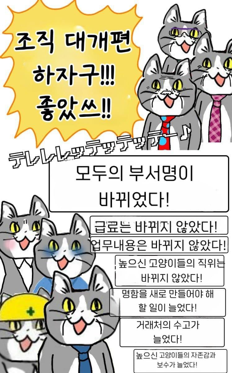 일본 ㅈ소고양이 최신 모음