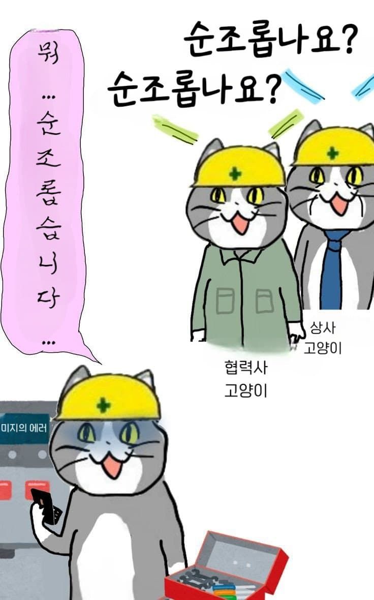 일본 ㅈ소고양이 최신 모음