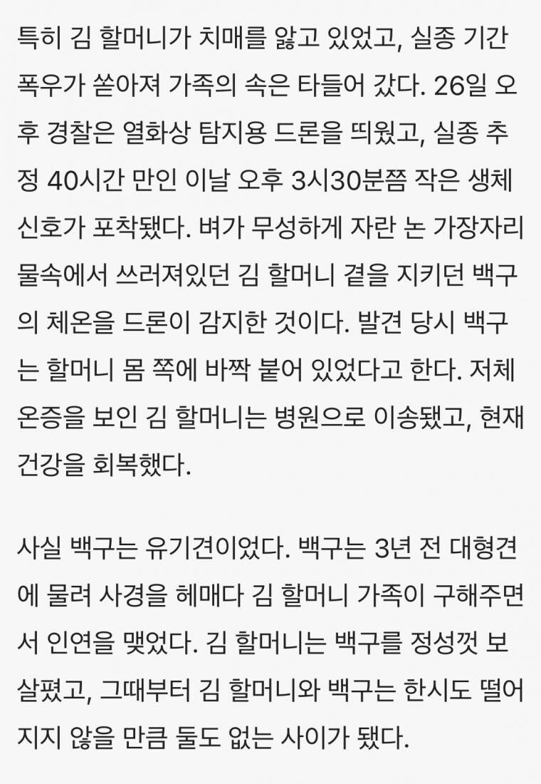 실종된 93세 할머니를 기적적으로 살린 백구