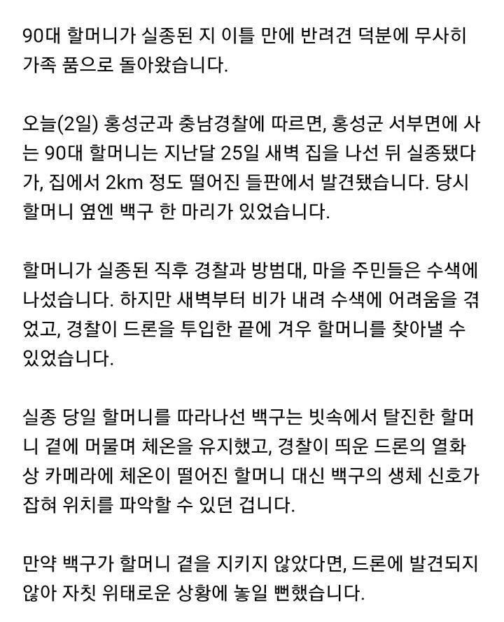 실종된 93세 할머니를 기적적으로 살린 백구