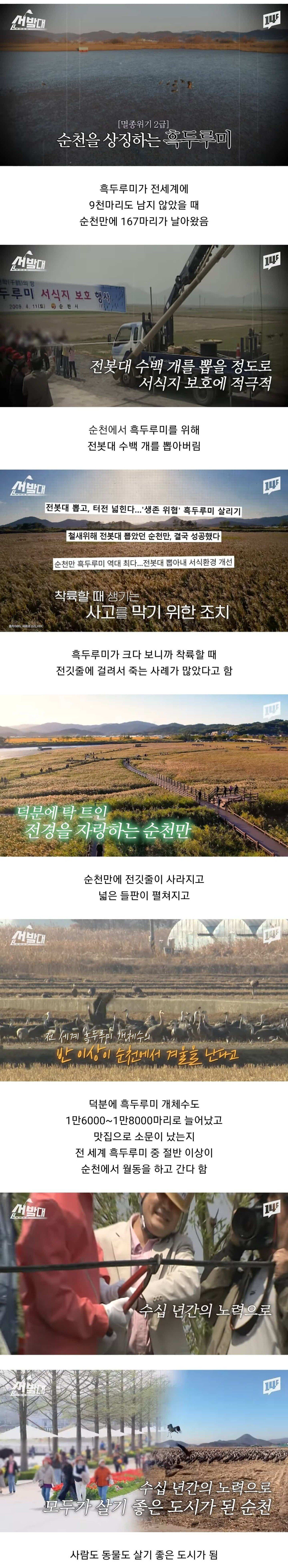 순천이 전봇대 수백 개를 뽑아버린 이유