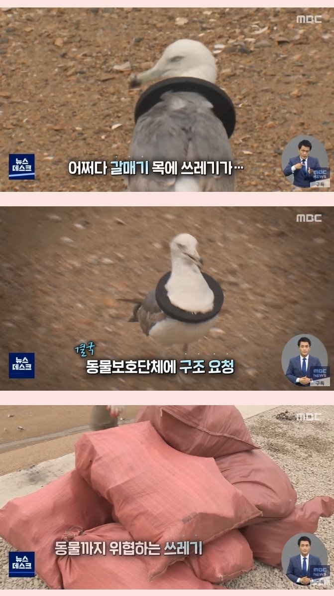 요즘 인기 많은 무료 차박 캠핑장